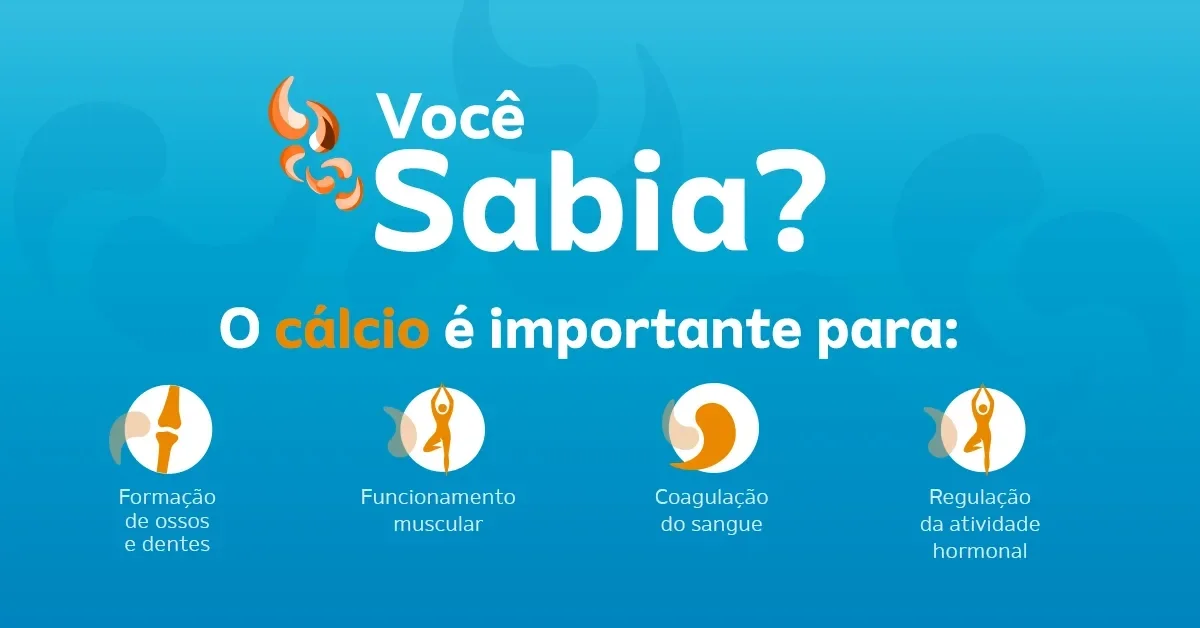 você sabia? o calcio é importante para: formação de ossos e dentes, auxiliar no funcionamento muscular, auxiliar na coagulaçã