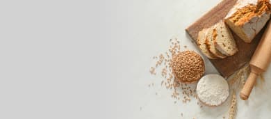 Download material do curso