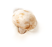 Champignon