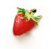 Morango