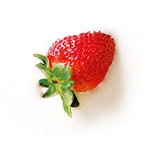 Morango