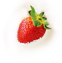 Morango
