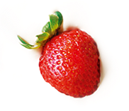 Morango